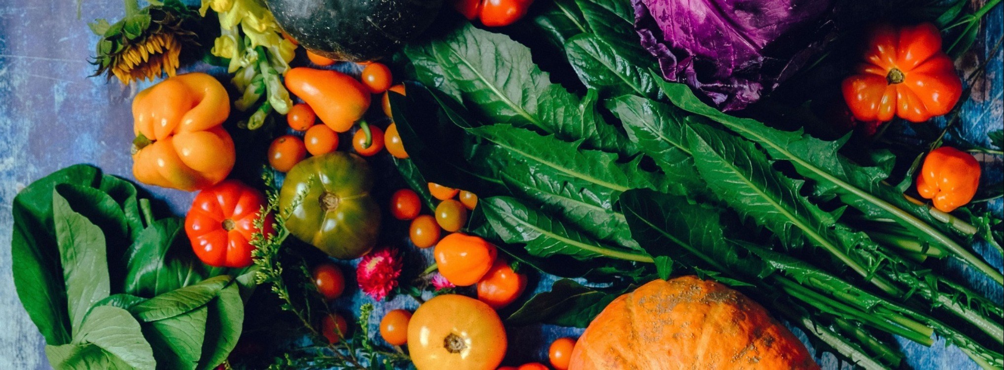 Harvest Festival*Sunday 11 October*More Details