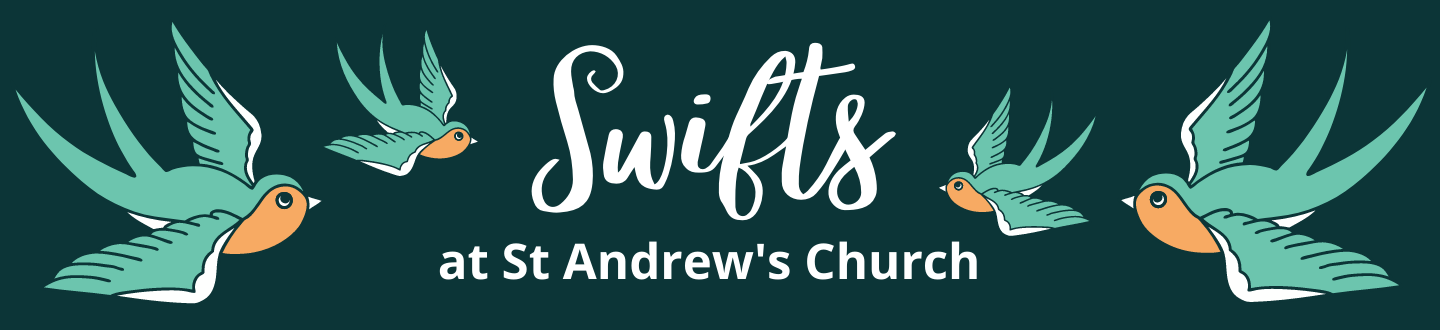 Swifts at St Andrew's  (960 × 