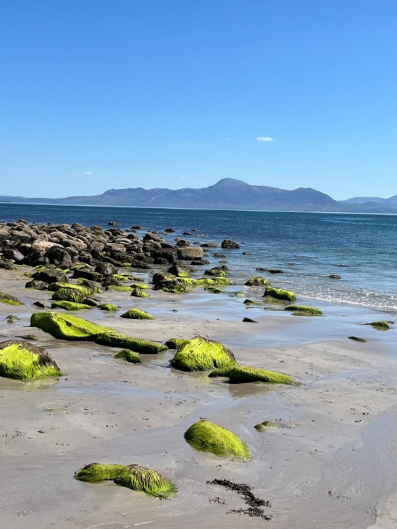 The Irish Wake beach