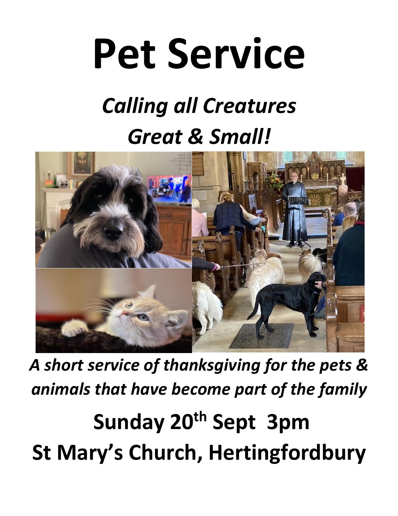 Pet service poster