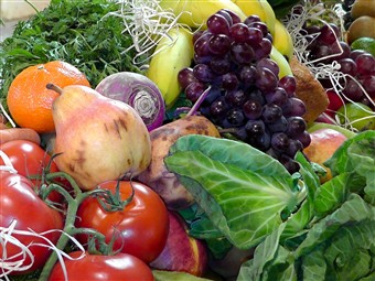 HarvestFruitVeg121013