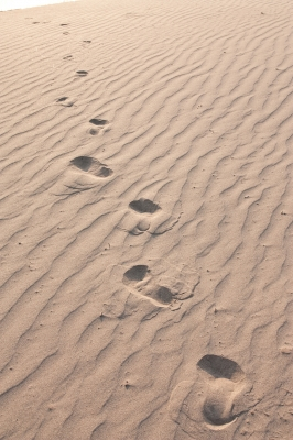 FootprintsSura Nualpradid