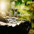 In person Mindfulness & Meditation