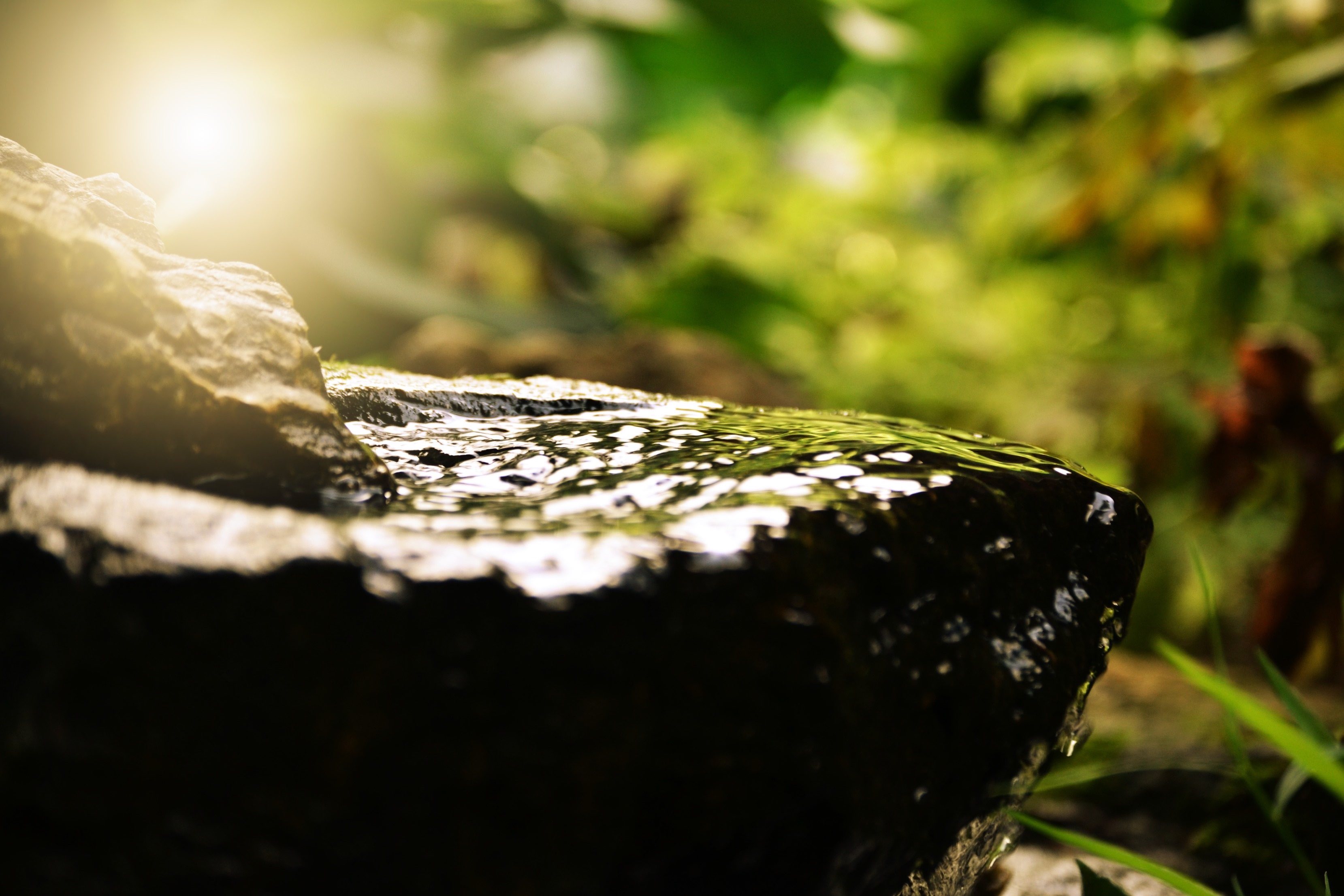 Mindfulness and Meditation in person and online
